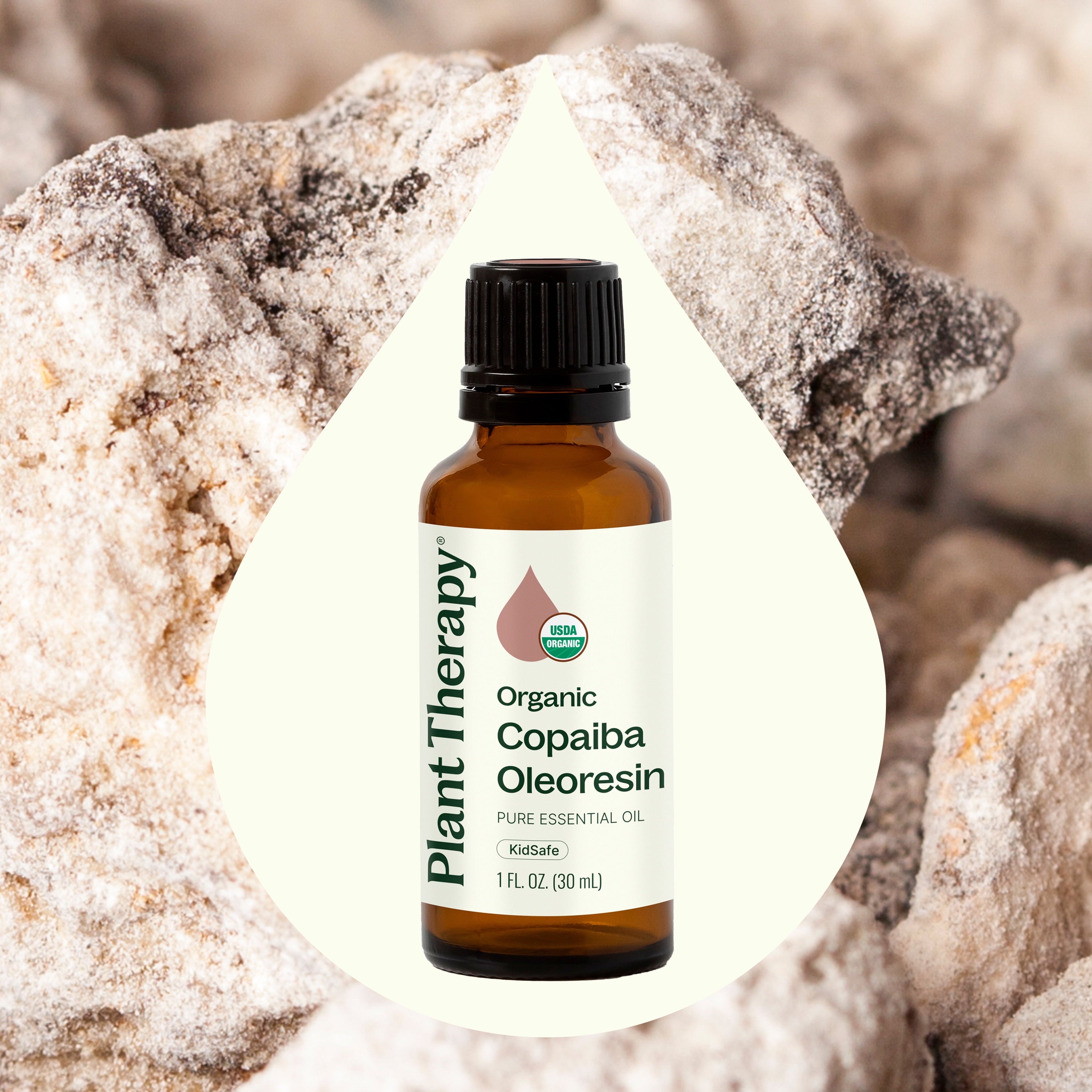Plant Therapy Copaiba Oleoresin Organic Essential Oil 100% Pure, Undiluted, Natural Aromatherapy, Therapeutic Grade 30 mL (1 oz)