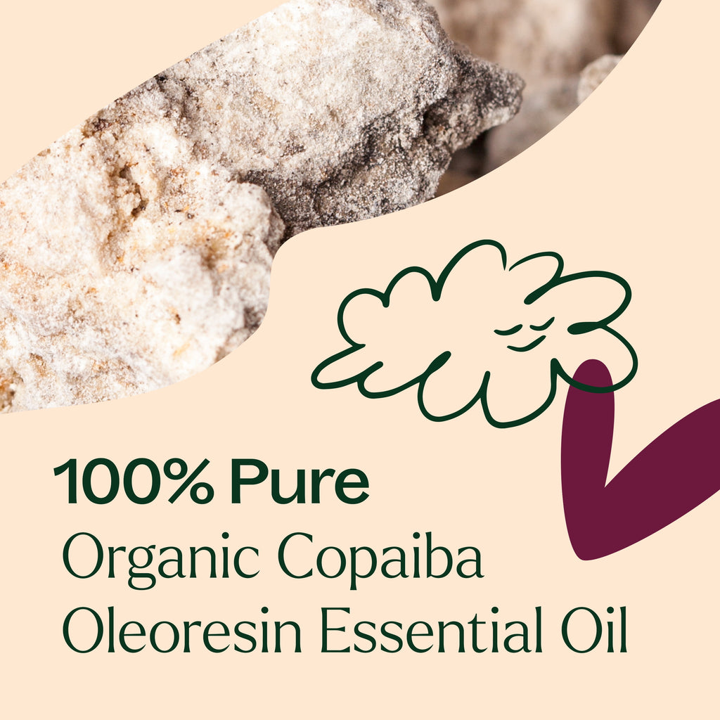 Plant Therapy Copaiba Oleoresin Organic Essential Oil 100% Pure, Undiluted, Natural Aromatherapy, Therapeutic Grade 30 mL (1 oz)