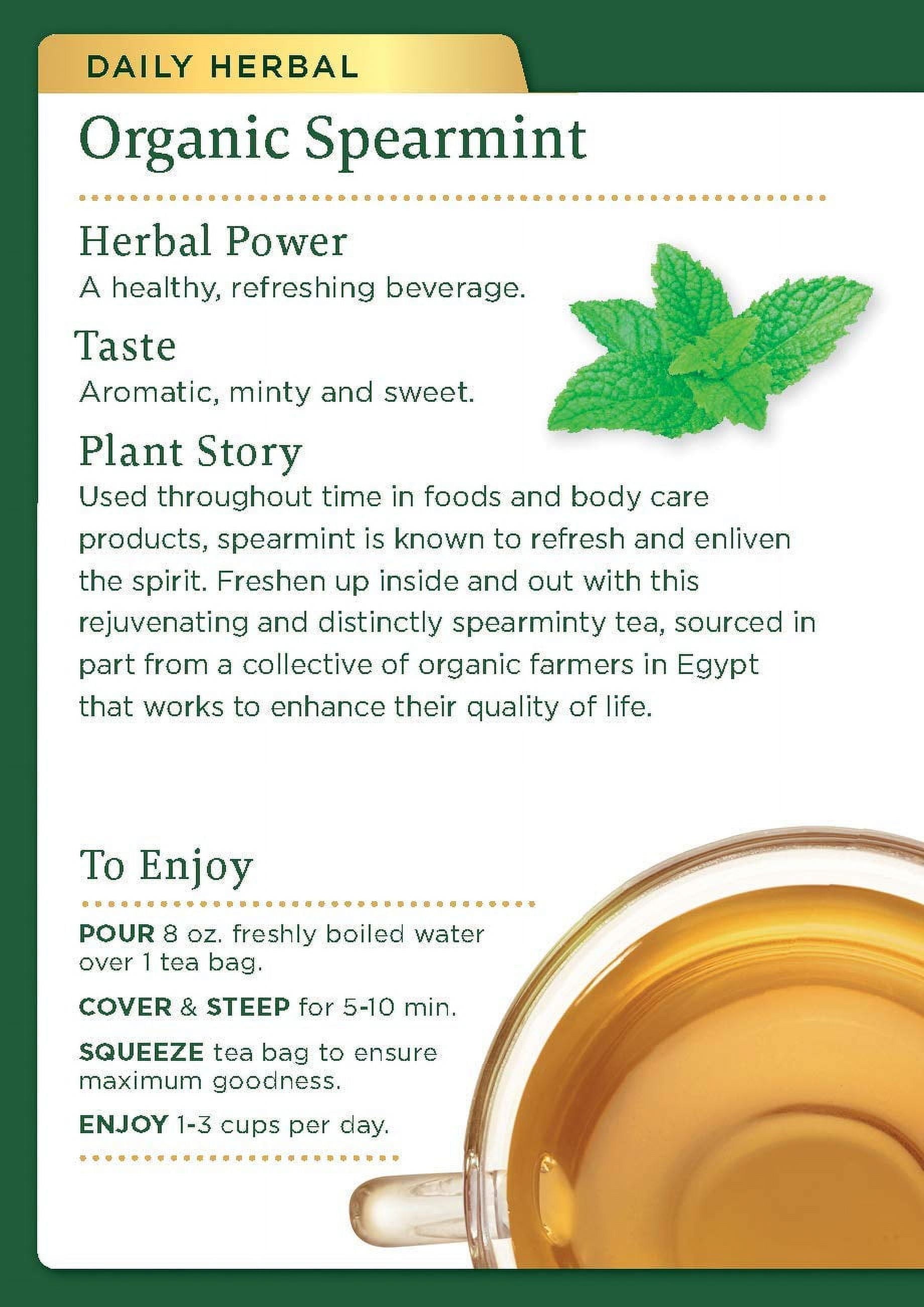 Organic Spearmint Tea, Healthy&amp; Refreshing 16 Count (Pack of 6)