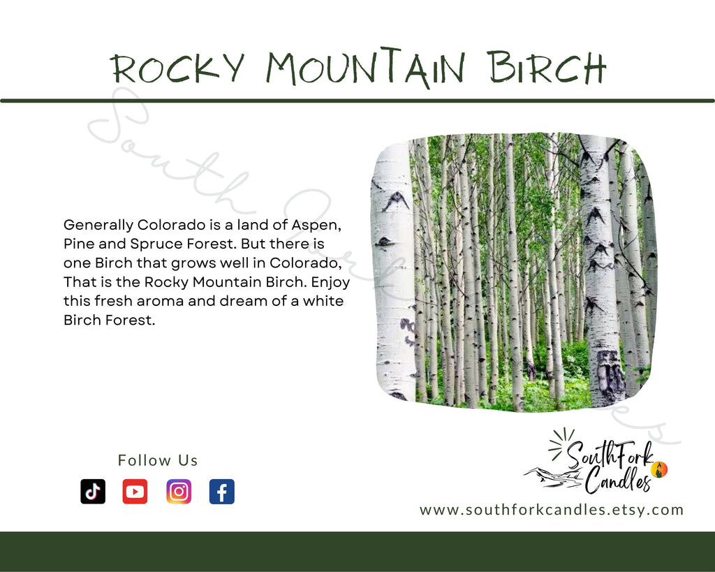 White Birch - Rocky Mountain Birch Candle