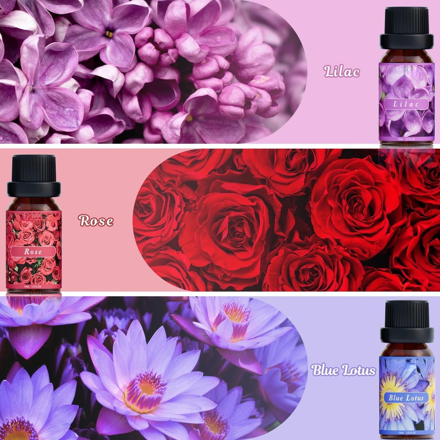 Laundry Collection Essential Oil Set, UM Natural Clean Fragrance Oil for Diffuser, Aromatherapy Oil Gift Set Includes Fresh Linen, Citrus Clean, Chamomile Bliss, Crisp Breeze, Minty