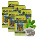 Organic Unsmoked Yerba Mate Tea Bags - 24 Count, 1.7 Oz - Organic Detox Tea - Hi Caf Tea - Clean Yerba Mate Energy -  Yerba Mate (6 Pack)