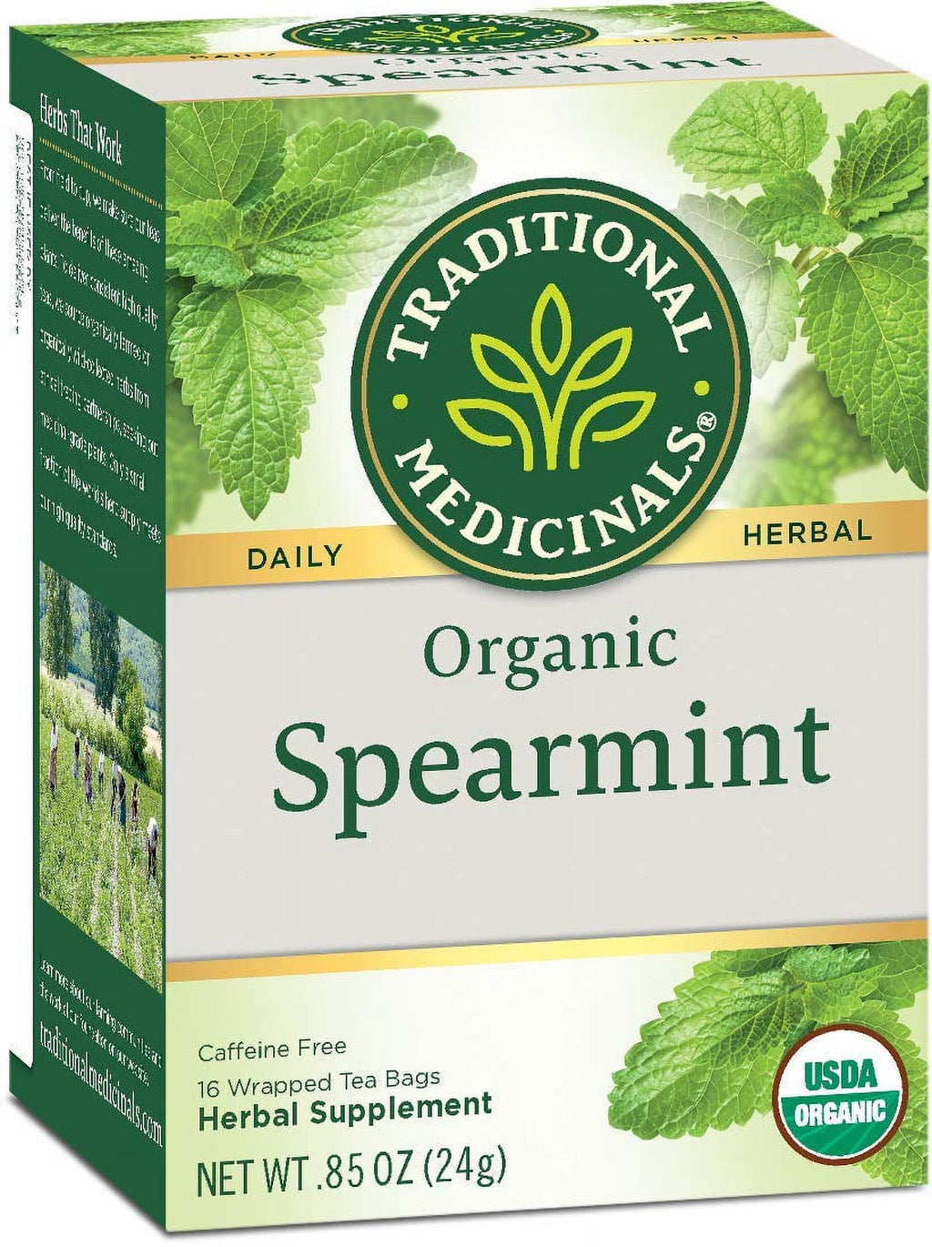 Organic Spearmint Tea, Healthy&amp; Refreshing 16 Count (Pack of 6)